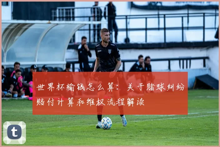 世界杯输钱怎么算：关于赌球纠纷赔付计算和维权流程解读