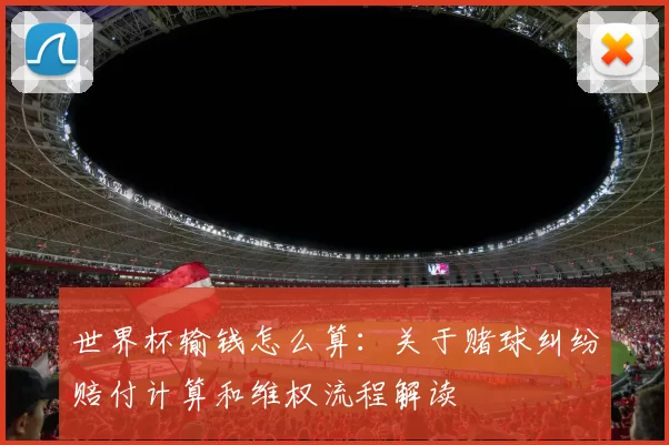 世界杯输钱怎么算：关于赌球纠纷赔付计算和维权流程解读