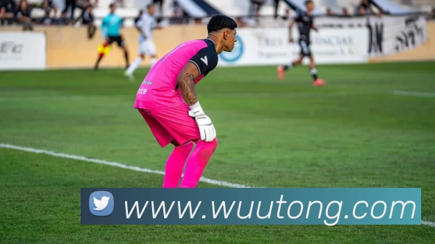 熊猫体育「中国」官方网站 - 赢在未来APP 封面图